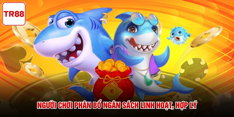 Người chơi phân bổ ngân sách linh hoạt, hợp lý
