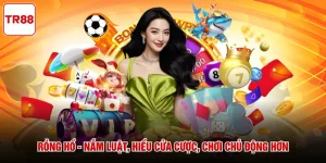 Rồng Hổ - Nắm Luật, Hiểu Cửa Cược, Chơi Chủ Động Hơn