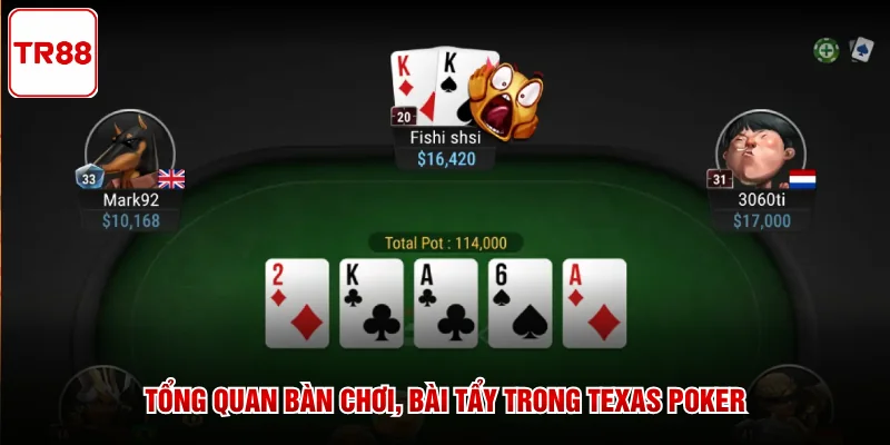 Tổng quan bàn chơi, bài tẩy trong Texas Poker