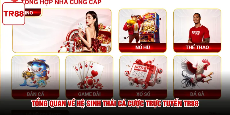 Tổng quan về hệ sinh thái cá cược trực tuyến TR88