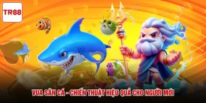 Vua Săn Cá - Chiến Thuật Hiệu Quả Cho Người Mới