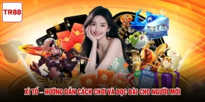 Xì Tố – Hướng Dẫn Cách Chơi Và Đọc Bài Cho Người Mới